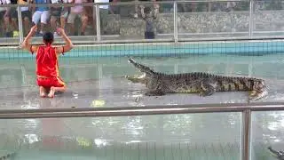 THE MILLION YEARS STONE PARK & PATTAYA CROCODILE FARM, THAILAND