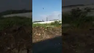 Кровь и зловоние у дороги в Чистогорске