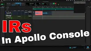 Pro Tools Hybrid LLM and Software Monitoring w/ Apollo (Use PT IR or Amp Sim while recording)