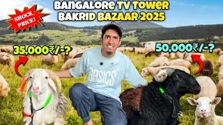 Bangalore Tv Tower Sheep Bazaar 2025 | Tv Tower Bakrid Bazaar | Bangalore Sheep Bazaar 2025