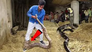 Crazy XYZ New VIdeo : Python Snake Rescue Gone Wrong 😱 | हालत खराब हो गई