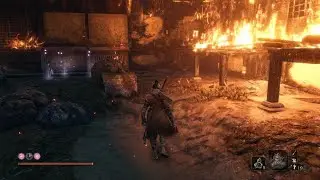 Sekiro: Shadows Die Twice_20240516230518