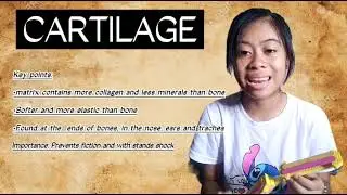 Joint and Articulation