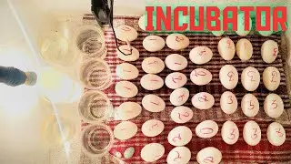 How to make a hatching egg incubator at home || bjdtech