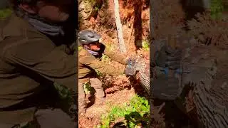 Diaries from a greenhorn sawyer. Do you handle the saw or does the saw handle you?