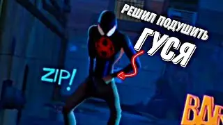 Майлз Решил Подушить Гуся