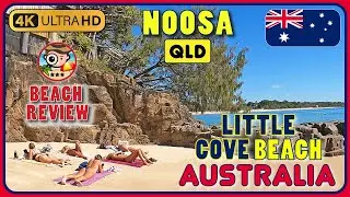 Little Cove Beach Noosa Heads 4k Walking Tour / Beach Walk & Review