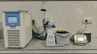 How to Prepare Crude Plant Extracts Using Methanol | Lab Tutorial