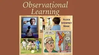 The Science Behind Latent/Spatial/Observatory Learning -Animal behaviour (lecture6) 🐒🦍 #education