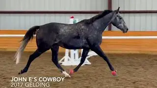 John E's Cowboy - Free Lunge
