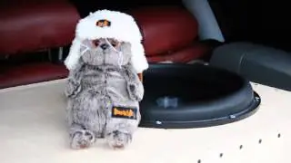 Приключения кота Басика и Pride BB15