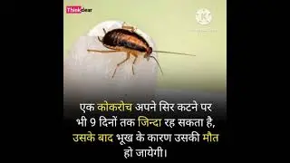 most amazing facts || knowledge #youtubeshorts #viralvideo #trendingshorts