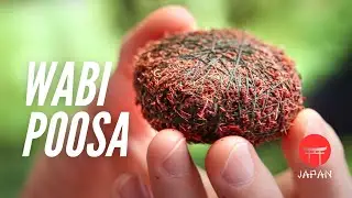 WabiKusa Ball Done Right: Step-by-Step Tutorial