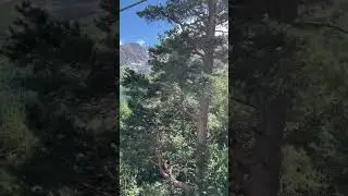 Подьем на гору Чегет в Приэльбрусье