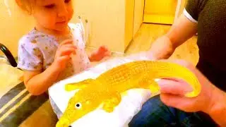 Very Cool Crocodile Lizun !! Anti-stress and clockwork toys. Video for children.