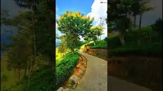 Bandarawela 😍 Natural Beauty|SL CLIPS