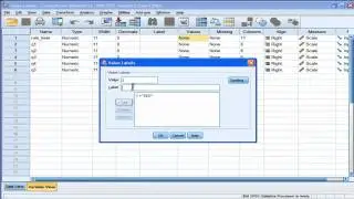 Value Labels - SPSS