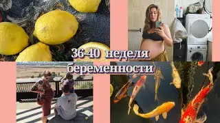 Vlog: 36-40 неделя беременности