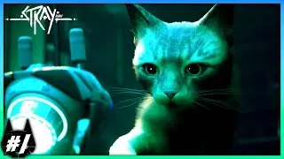 This Game Is So BEAUTIFUL! Stray - Part 1