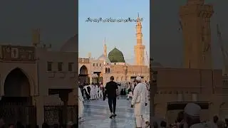 Alhamdulillah in Masjid e Nabawi #islamicshorts #madinah