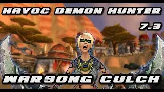 Havoc Demon Hunter 7.3 Warsong Gulch