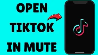 How To Open TikTok In Mute