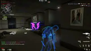 first day with ezfrags premium