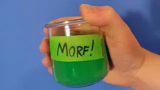 Morf! | Stop Motion Project - Animation 1 AACC Fall 2021