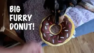 Big Furry Donut!