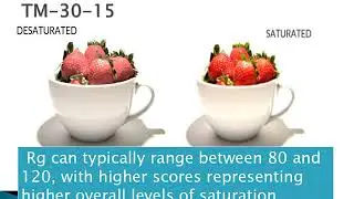 IES TM 30-15 -A New Method to evaluate Color Rendition