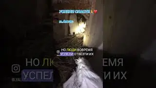 История о чудесном спасении малышей и их мамы... #shorts