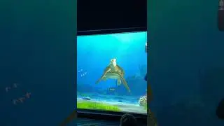 My GF Goes to Disney’s Turtle Talk with Crush..🐢🤣 