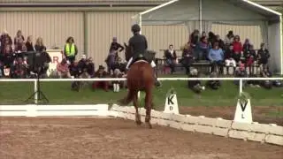 Holy Bruce   Dressage Melbourne International 2015