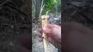 Всему конец приходит.