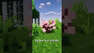 Zgadnij przedmiot w minutę! #1 #shorts #minecraft #gaming #gameplay #foryou #puzzle