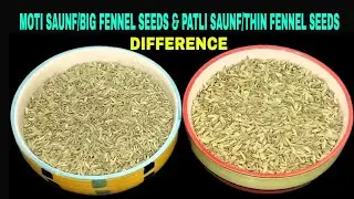 Difference Between Moti Saunf & Patli Saunf/मोटी सौंफ और पतली सौंफ में ये है अंतर/in Hindi & English
