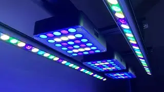 Review: ReeFi Uno 2.0 Pro Reef Lights - A Lengthy Discussion