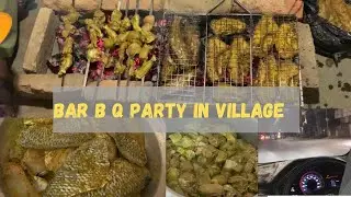 BBQ Party Vlog Get Together with Family Members || Barbecue Party Vlog