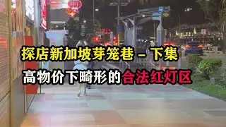 探店新加坡芽笼巷下集，高物价下畸形的合法红灯区 #东南亚旅游 #芽笼攻略 #新加坡旅游 #新加坡旅行 #旅行vlog