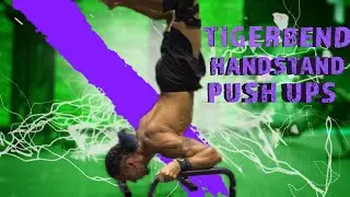tiger bend handstand push up workout routine