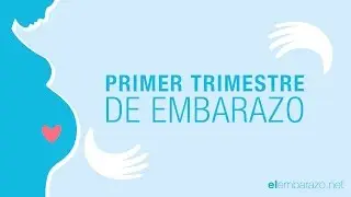 First Trimester of Pregnancy – Pregnancy Trimester by Trimester