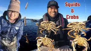 Nonstop Squids Fishing & Catching Dungeness Crabs
