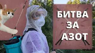 ПОДКОРМКА РОЗ ПОСЛЕ ПЕРВОГО ЦВЕТЕНИЯ. Готовимся ко второй волне. 29 июля 2024 г.