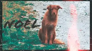 Noel - Marta España (Official Video) (Original)