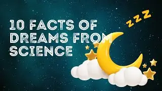 Dreaming 101: The Science Behind Your Nighttime Movies
