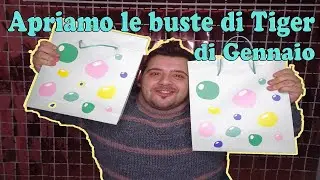 APRIAMO LE BUSTE A SORPRESA DI TIGER DI GENNAIO '24 || #1° Episodio- Stagione 3