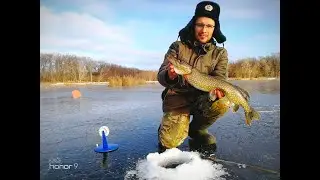 Где поймать щуку в Саратове?! Или снова облом...
