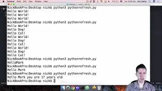 Django 3 & Python | Python Refresher | Functions
