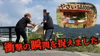 【衝撃】無人販売所に現れた野菜ドロボーおじさんを捕まえた結果やばいことに...