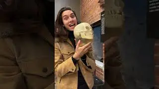 Rarest pieces in the Bone museum